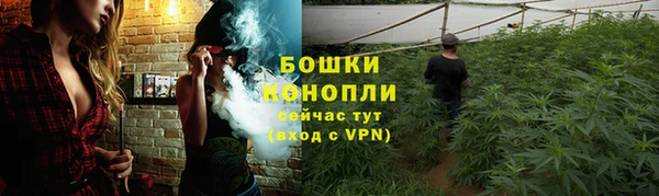 спайс Баксан
