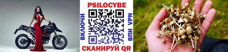 Псилоцибиновые грибы MAGIC MUSHROOMS  Купить закладки  Алушта 