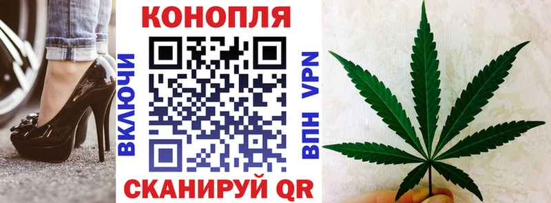 Шишки марихуана Amnesia  Купить закладки  Алушта 